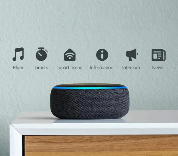 Smart Speaker for Learning English